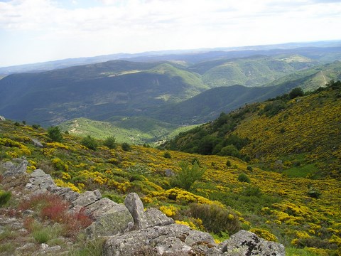 detox cevennes