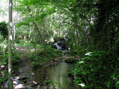 marche consciente cévenne