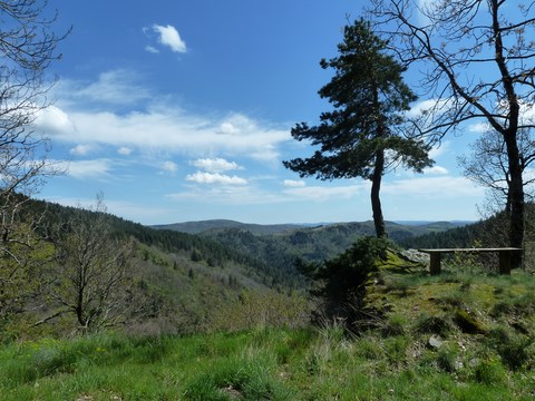 jeûne rando détox en cévennes