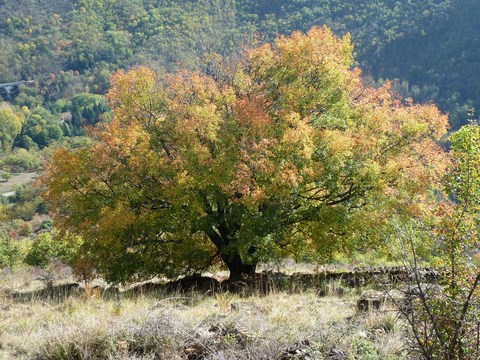 Les Cévennes en détox