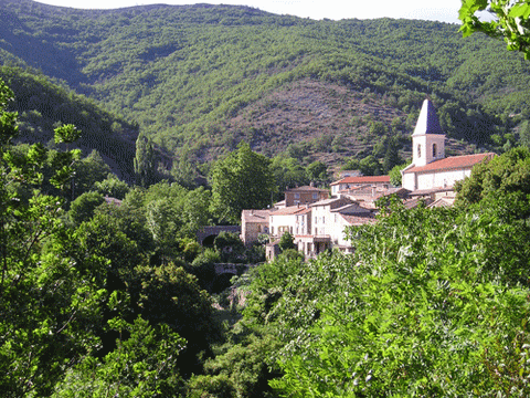  Rando Détox en Cévennes